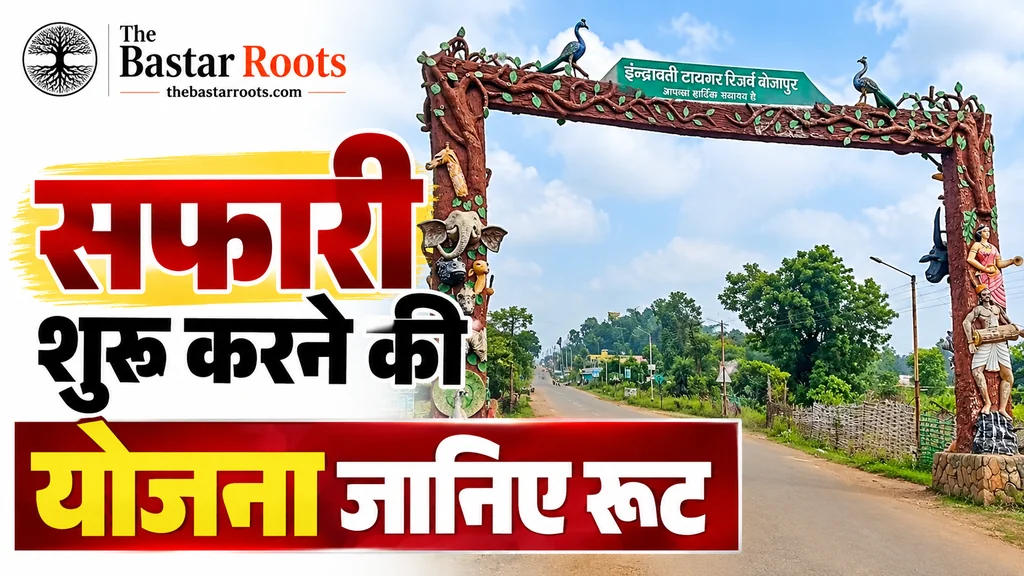 इंद्रावती टाइगर रिजर्व 1 नवंबर से शुरू होगी सफारी की तैयारी